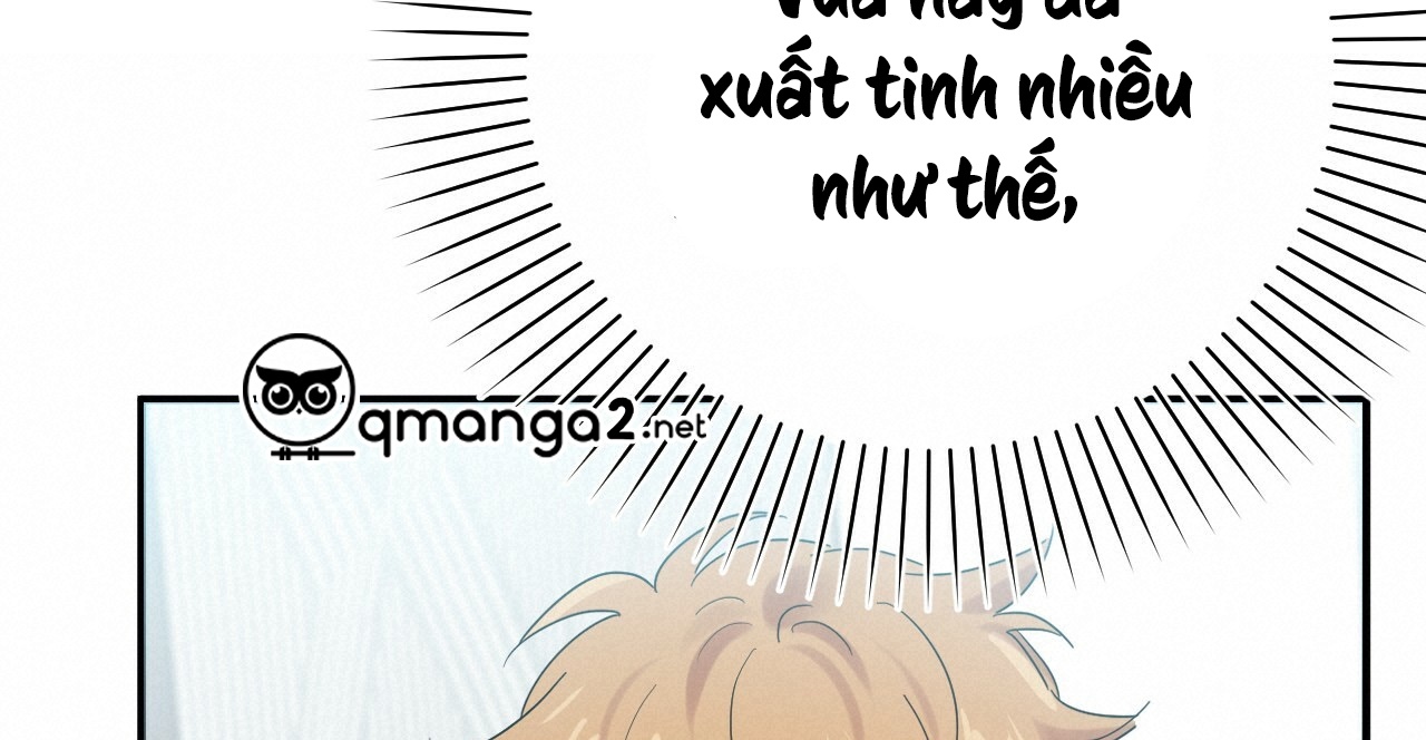 NHỮNG CHÚ THỎ CỦA HAPYPY chapter 10.1