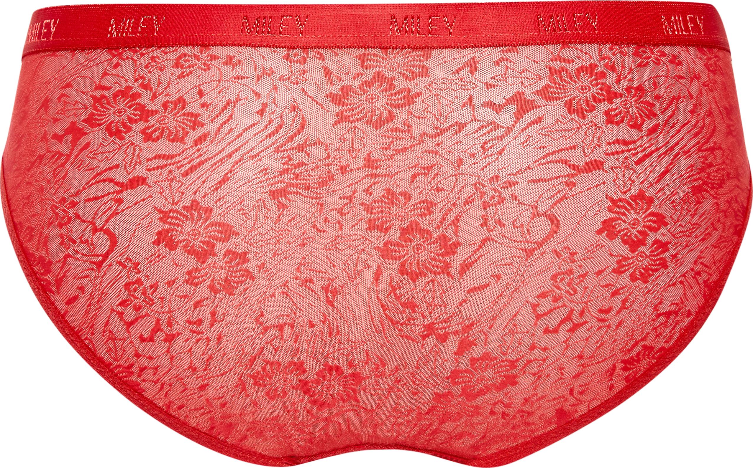 Bộ 5 quần lót nữ ren cao cấp lưng logo Miley Lingerie