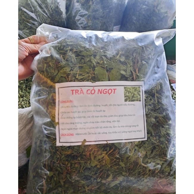 CÂY CỎ NGỌT - Chữa tiểu đường