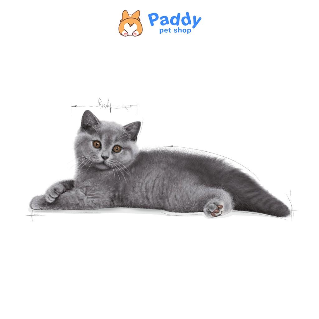 Hạt Royal Canin British Shorthair Kitten Cho Mèo Anh Lông Ngắn Nhỏ