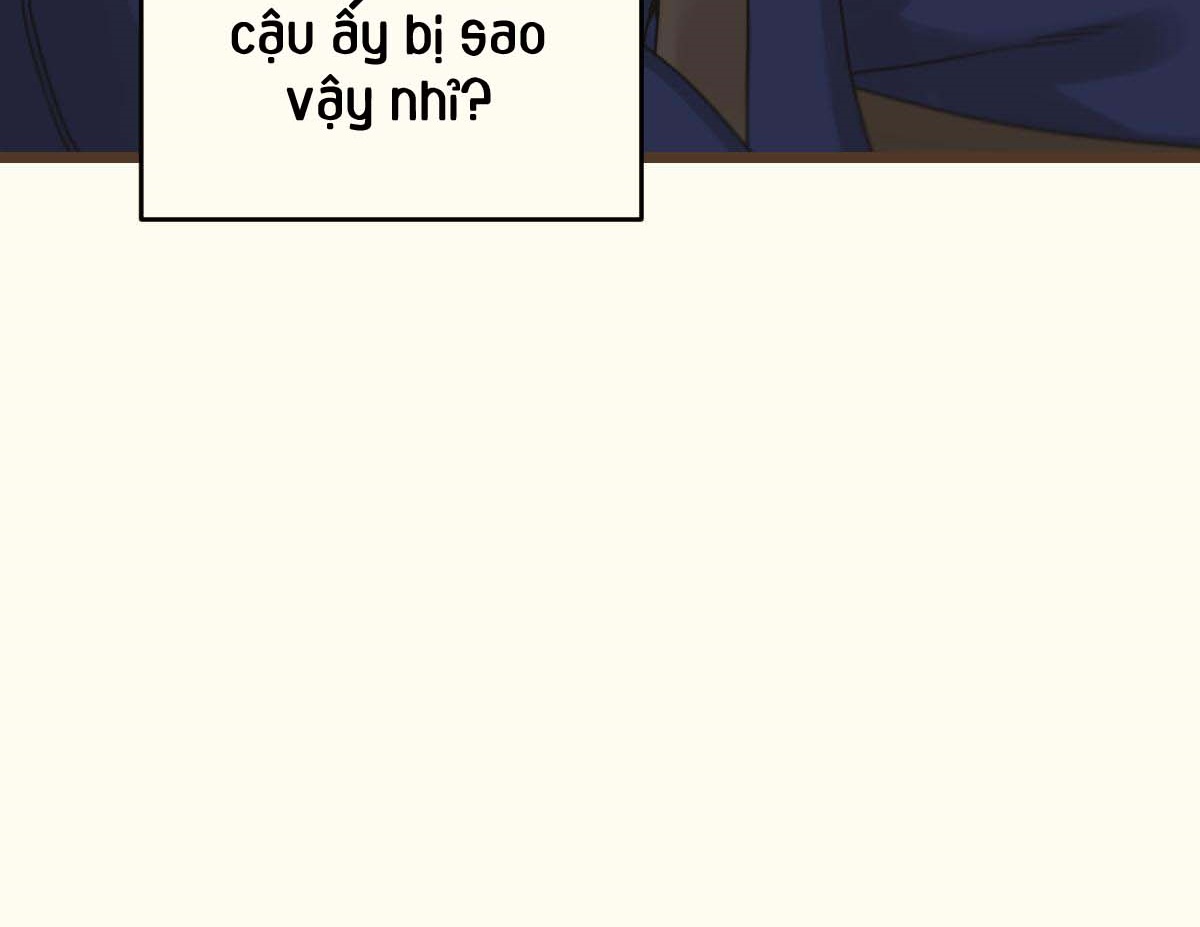 tương phùng chapter 31 264