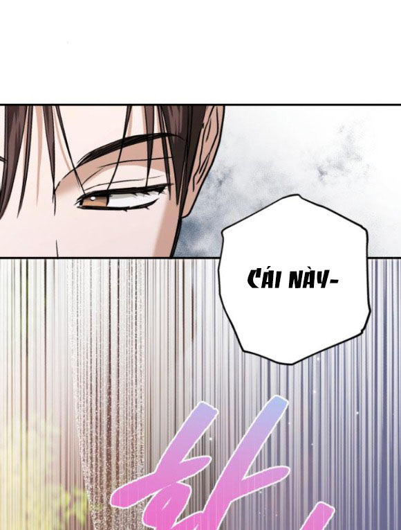 bóng râm mùa xuân chapter 13.1 19