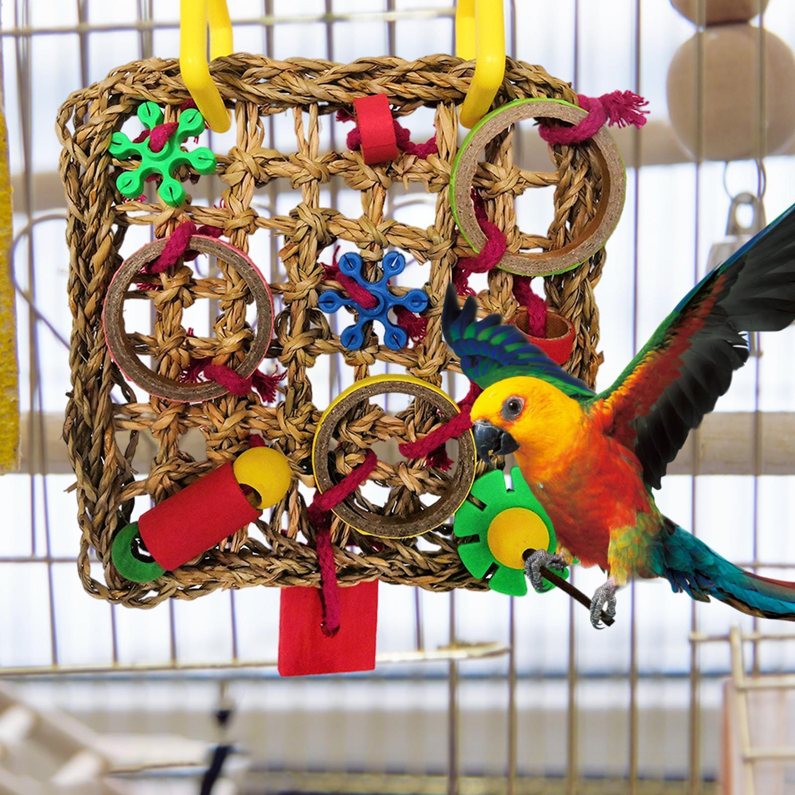 Pet Bird Foraging Wall Toy Parrot Chewing Toy Parakeet with Hanging Hook