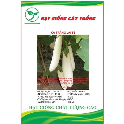 Hạt giống cà trắng lai F1 CT262 - Gói 0.2gram