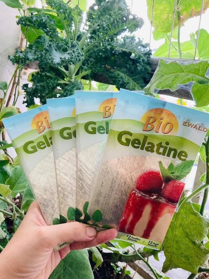 Gelatin hữu cơ ( dạng lá ) 20gr