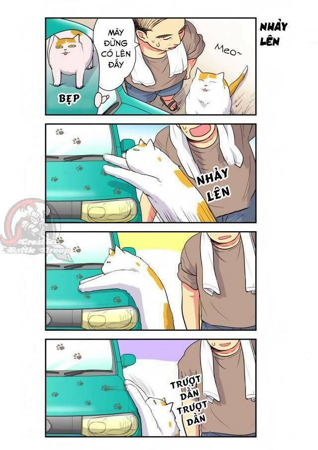 cat is silver vine chapter 19 1