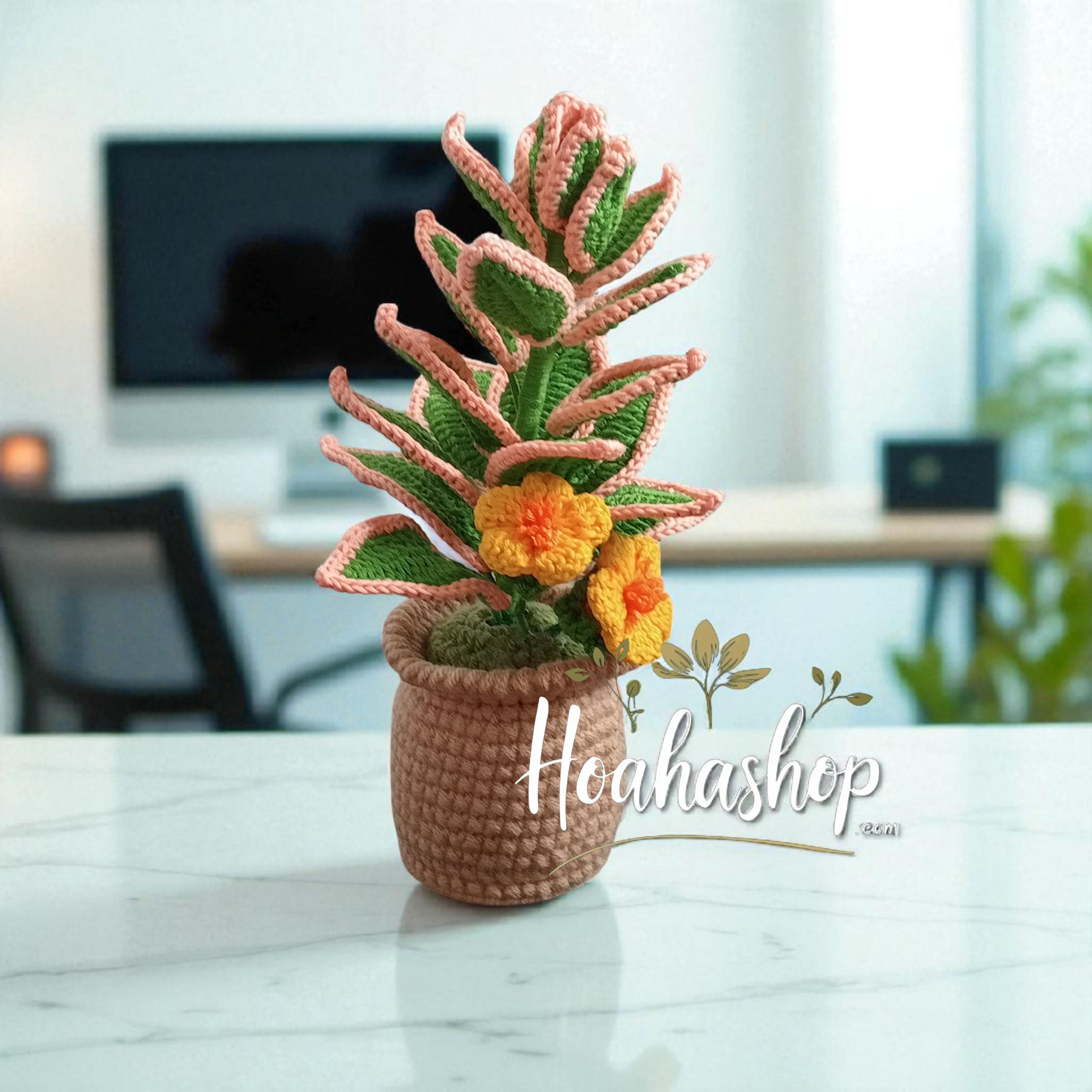 Chậu cây mini handmade – Điểm nhấn xinh xắn cho góc nhỏ của bạn