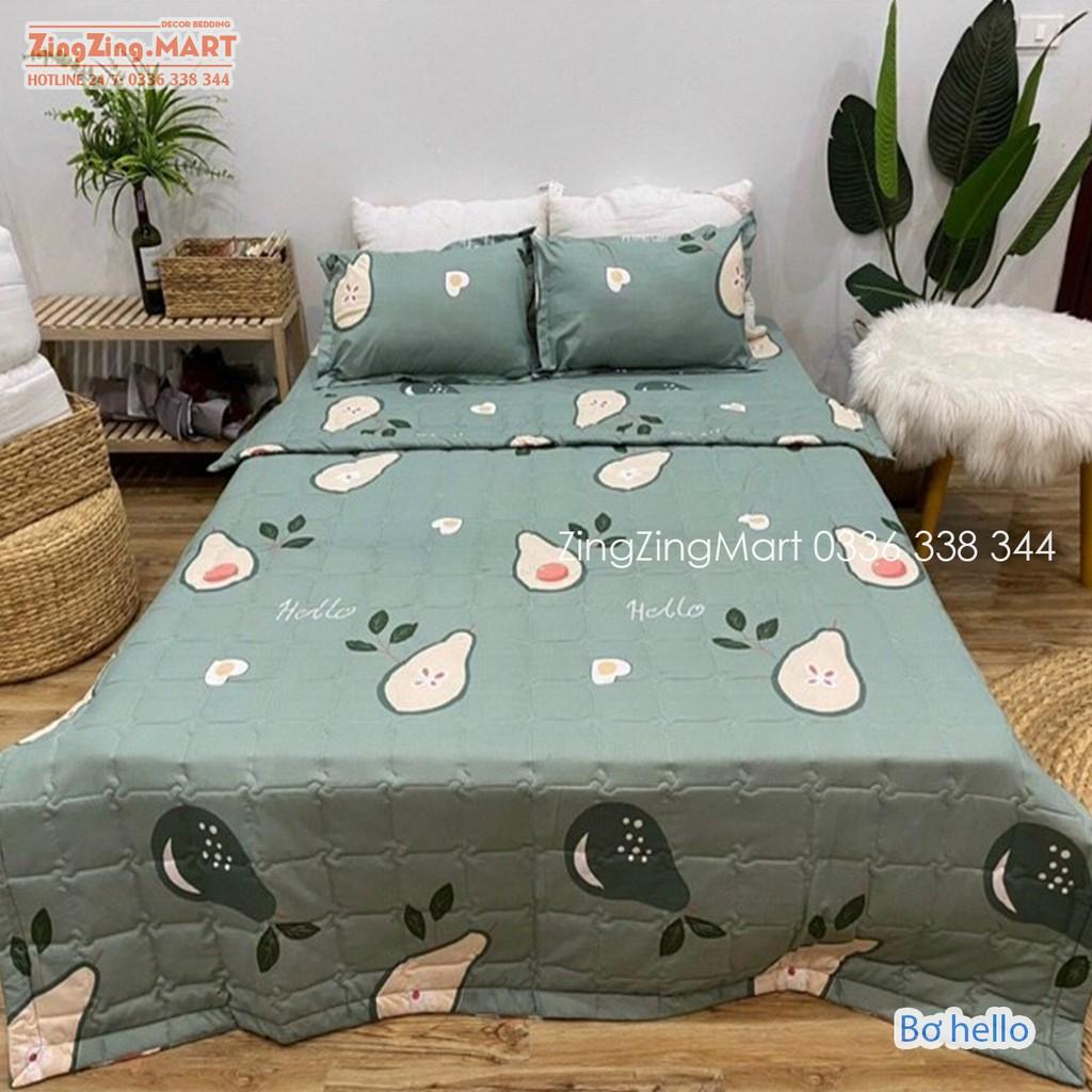 Bộ 5 Món Chăn Hè Ga Gối Kèm Vỏ Gối Ôm Poly kích thước M2/M6/M8/2M2 Mẫu Bò Xám