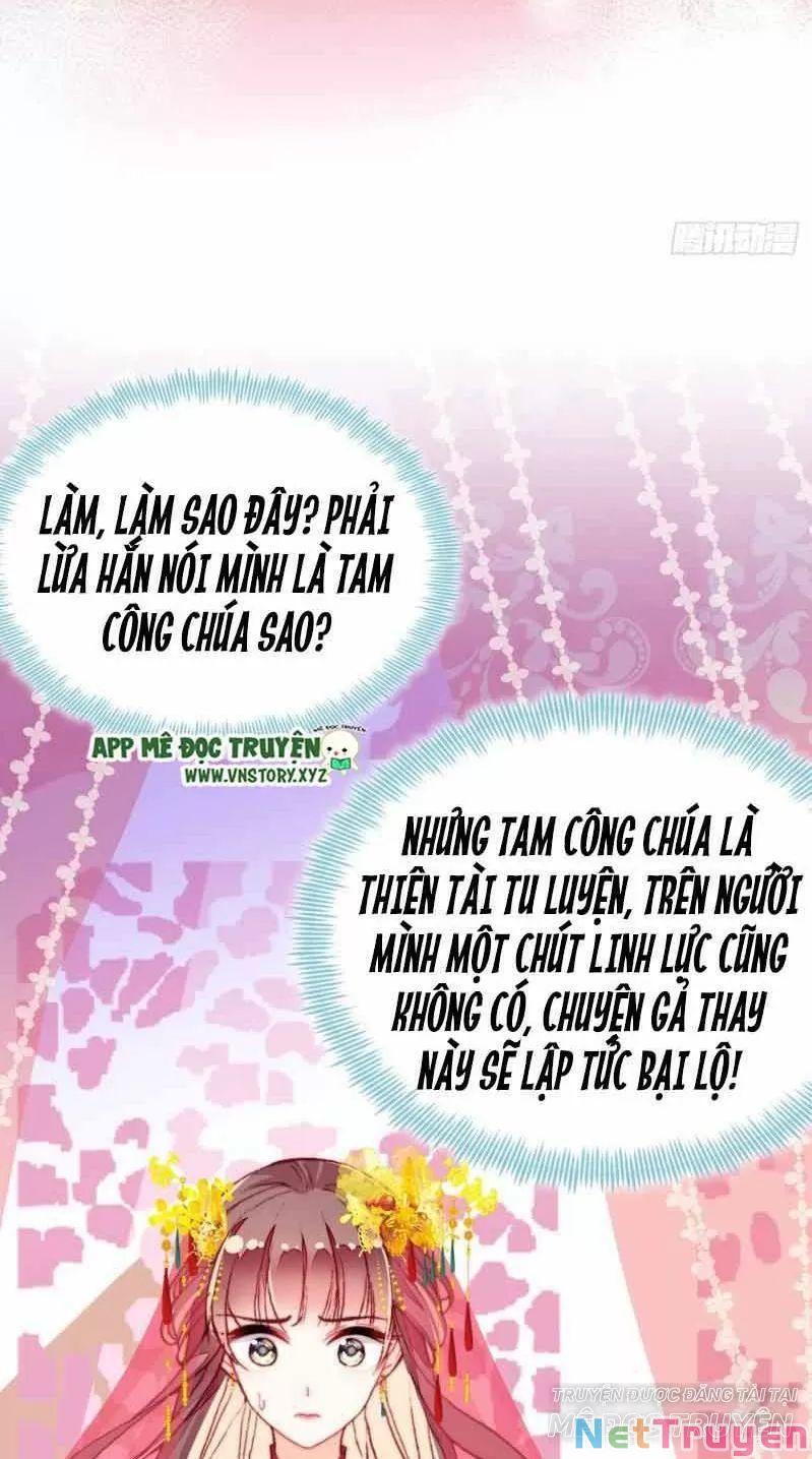 lại bị bệnh chiều chuộng quấn lấy chapter 2 6