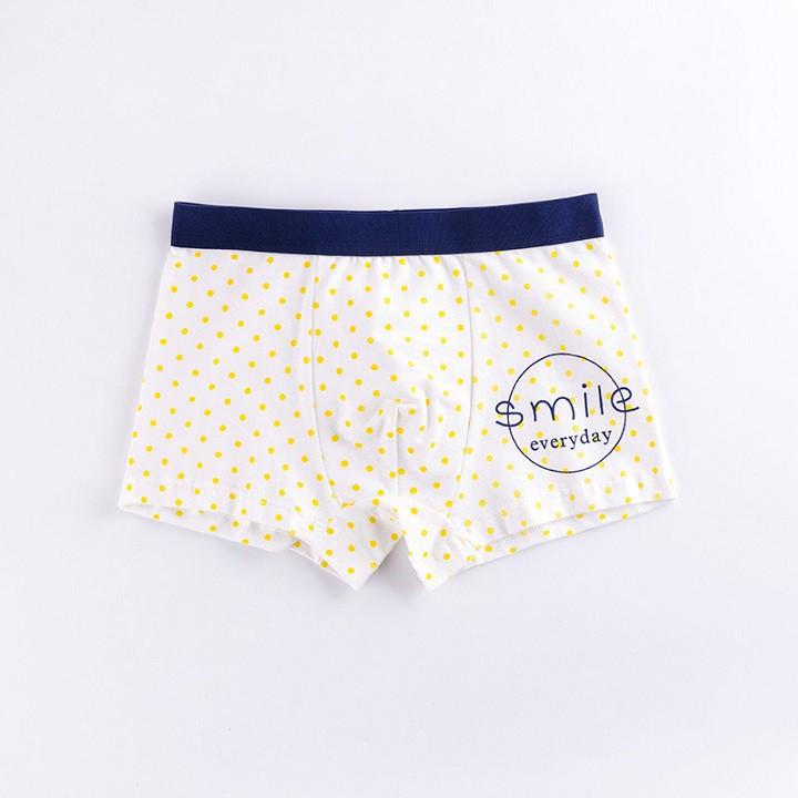 Set 4 quần chip đùi cotton cho bé trai size 9kg-45kg