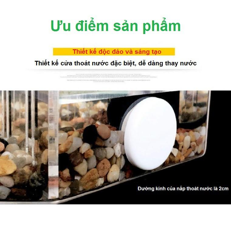Bể nuôi cá chọi betta 4 ngăn trong suốt