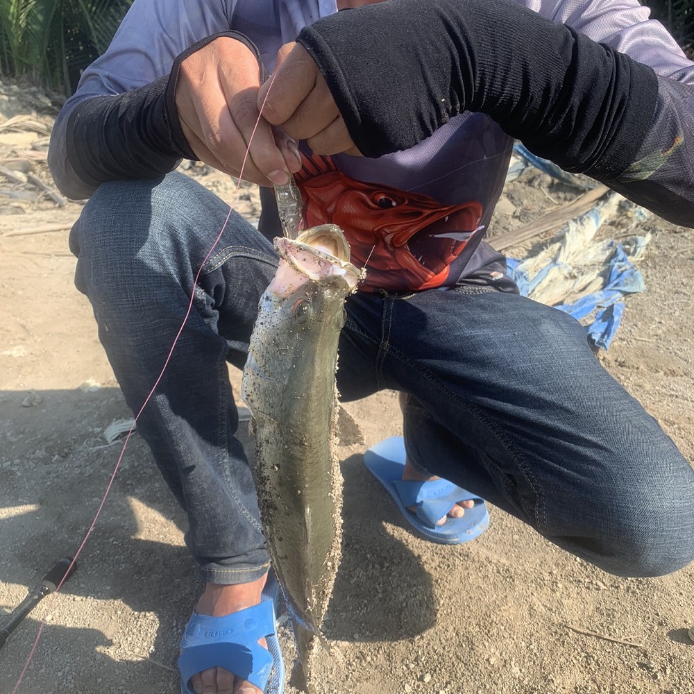 [ĂN LÀ DÍNH] mồi lure minnow M095 nặng 15gam, mồi giả câu cá chẽm cá hồng hiệu quả, mồi lure chìm câu biển dạ quang, mồi giả câu cá nhồng biển cá bass, mồi câu lure cá tráp cá măng, mồi giả câu cá biển cao cấp