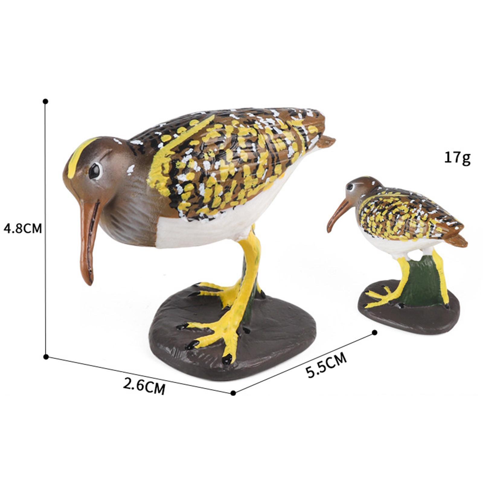 Durable Bird Figurine Ornament Fine Workmanship Bird Statue for Bookshelf Desktop