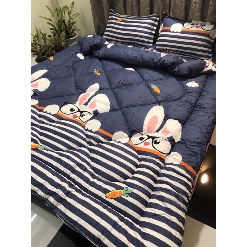 Chăn phao trần bông dày loại 1 bông hơi siêu nhẹ 1m8-2m cao cấp giữ nhiệt tốt đường kim mũi chỉ bền đẹp