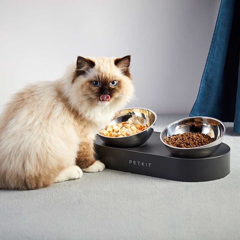 BÁT ĂN ĐÔI KHÁNG KHUẨN INOX PETKIT NANO METALl 15° CHỐNG GÙ LƯNG CHÓ MÈO