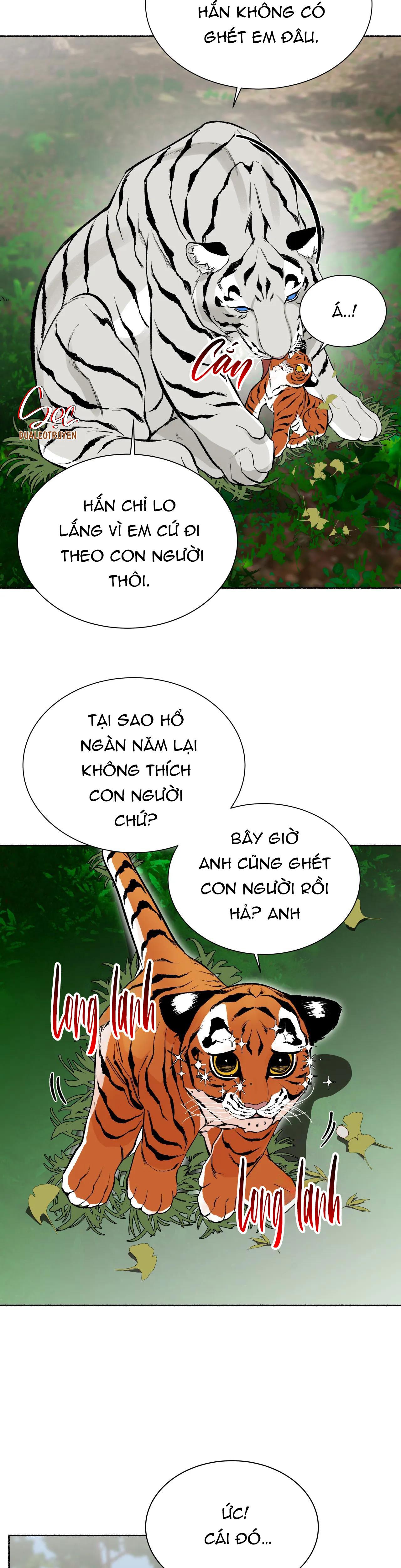 HỔ NGÀN NĂM chapter 24