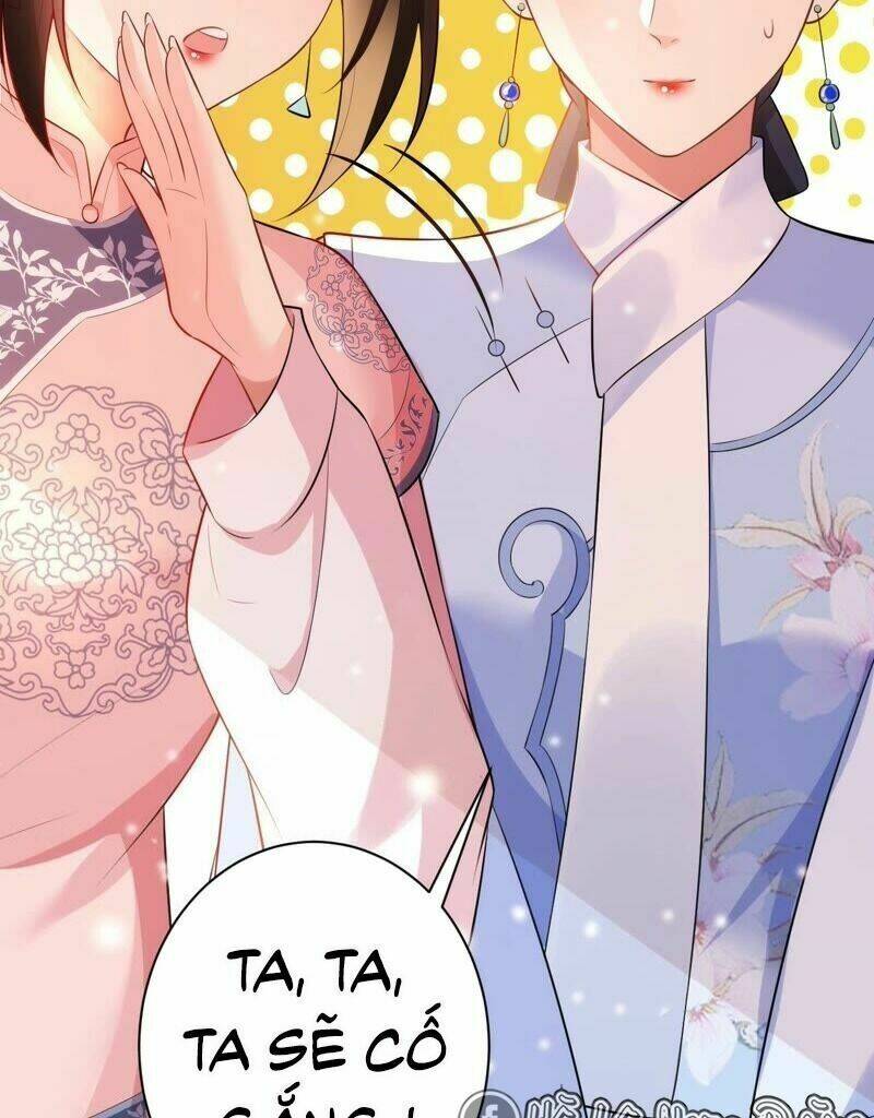 quận chúa vững vàng, thiết lập nhân vật không thể vỡ chapter 49 55