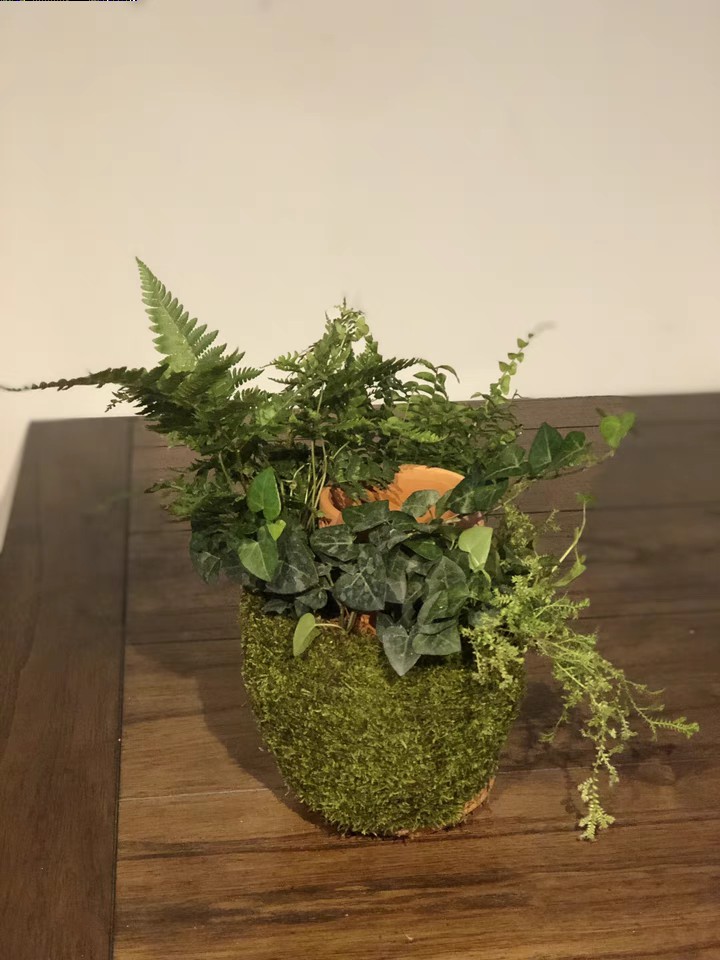 Tháp cây đứng TERRAPLANTER gốm trồng cây dương sỉ rêu tự thẩm thấu thủy canh nhiều lỗ DOOA TERRARIUM - TERRA-02