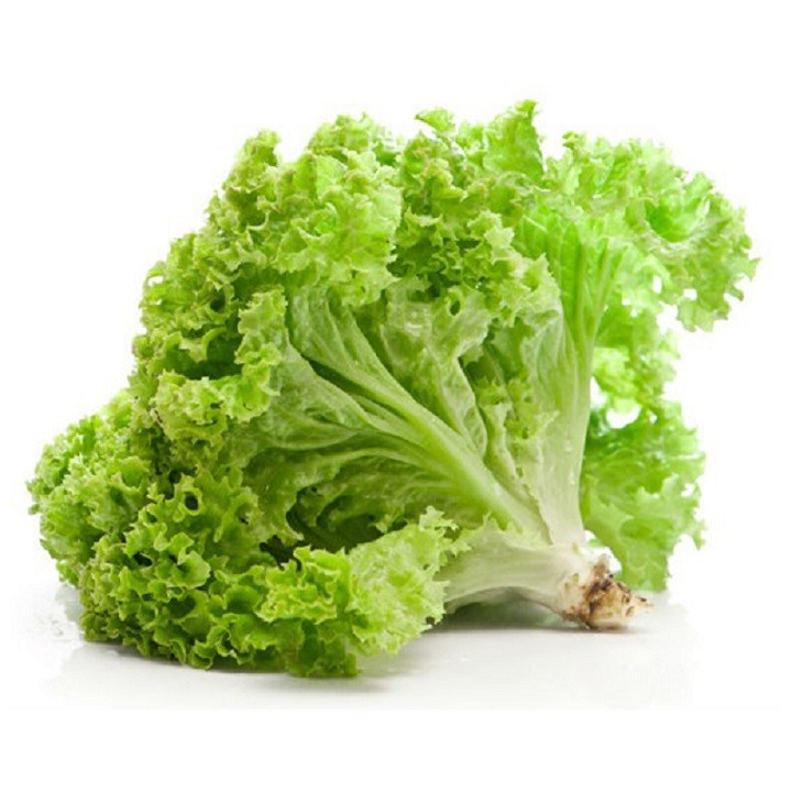 Hạt giống Xà lách hè dún 2