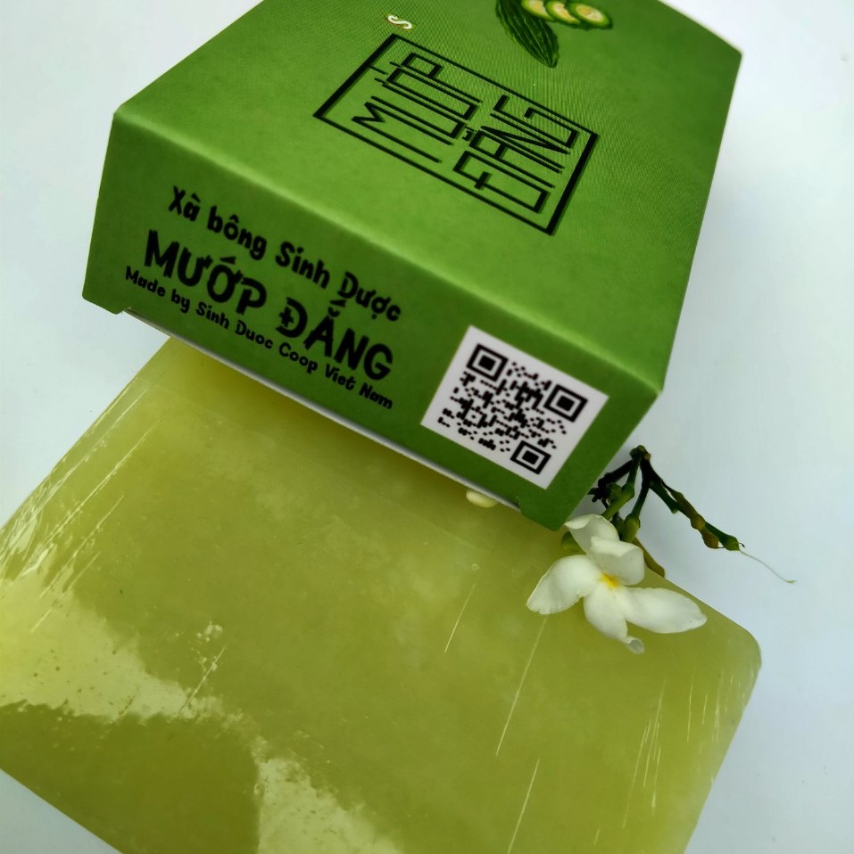 Xà bông Sinh Dược Mướp đắng, xà bông cục handmade 100gr, mẫu bao bì vẽ mộc, mùi tràm nhẹ, làm sạch diệt khuẩn hiệu quả, Mướp đắng theo YHCT có tính mát cho da