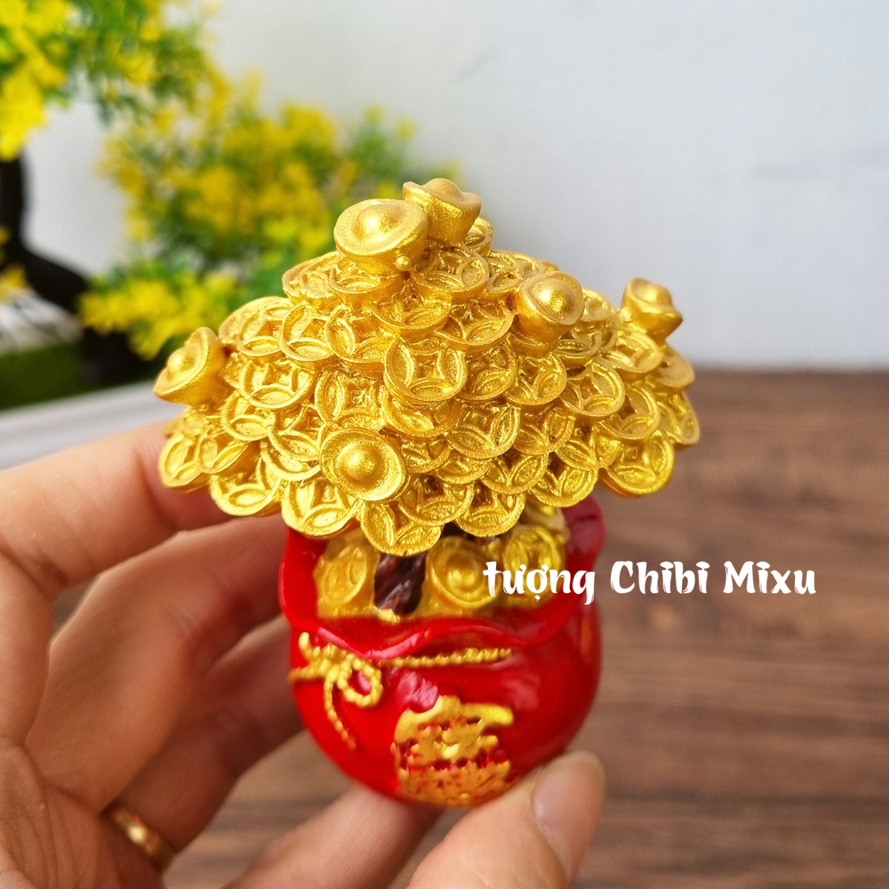 Chậu cây kim tiền size 8cm may mắn tài lộc