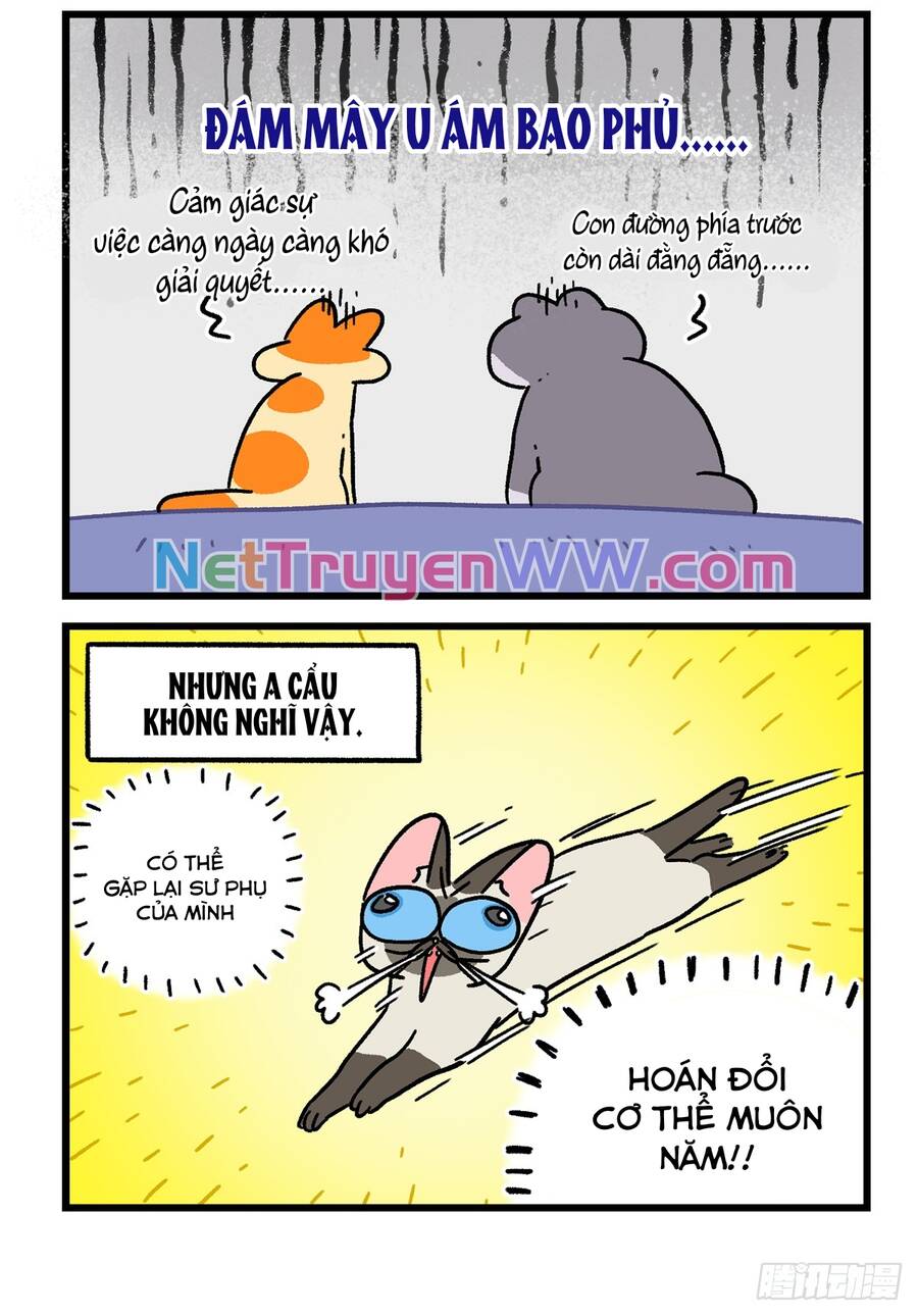 a mãn và mạch trà chapter 152.1 6