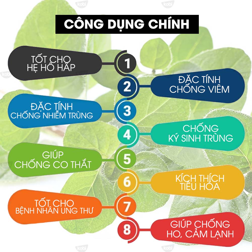 Tinh Dầu Kinh Giới Kobi Oregano Essential Oil Giúp Chống Viêm, Kích Thích Tiêu Hóa Hiệu Quả