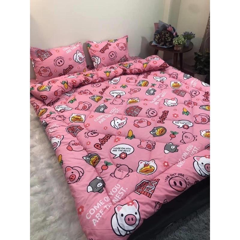 Bộ 5 món chăn ga gối chăn bông cotton poly hàng việt nam xuất khẩu