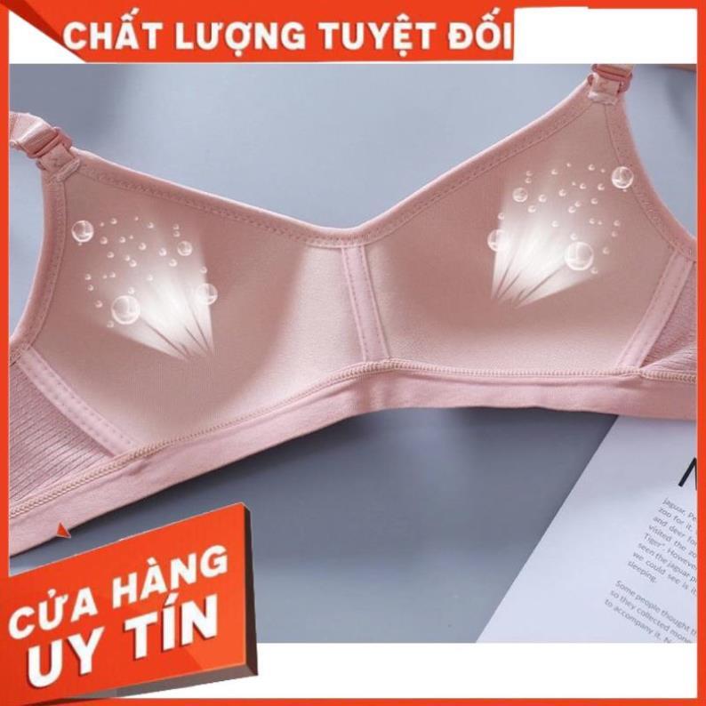Áo Lót Nữ Cotton Cao Cấp Không Gọng Mỏng Nâng Ngực 136