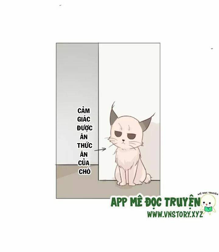 hồ tiên này không tin được chapter 27 16