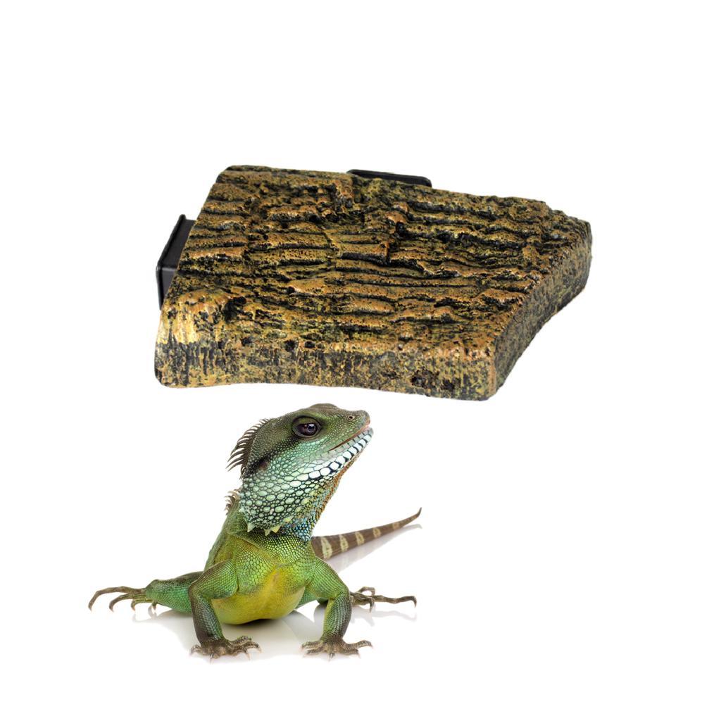 Reptile Vivarium Decoration Terrarium Landscaping Decor Platform Slate