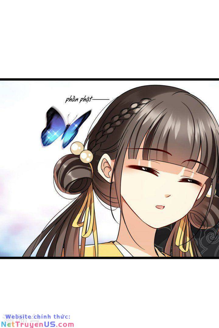 nụ cười của nàng liền ngọt đảo ta tám viên nha chapter 66 23