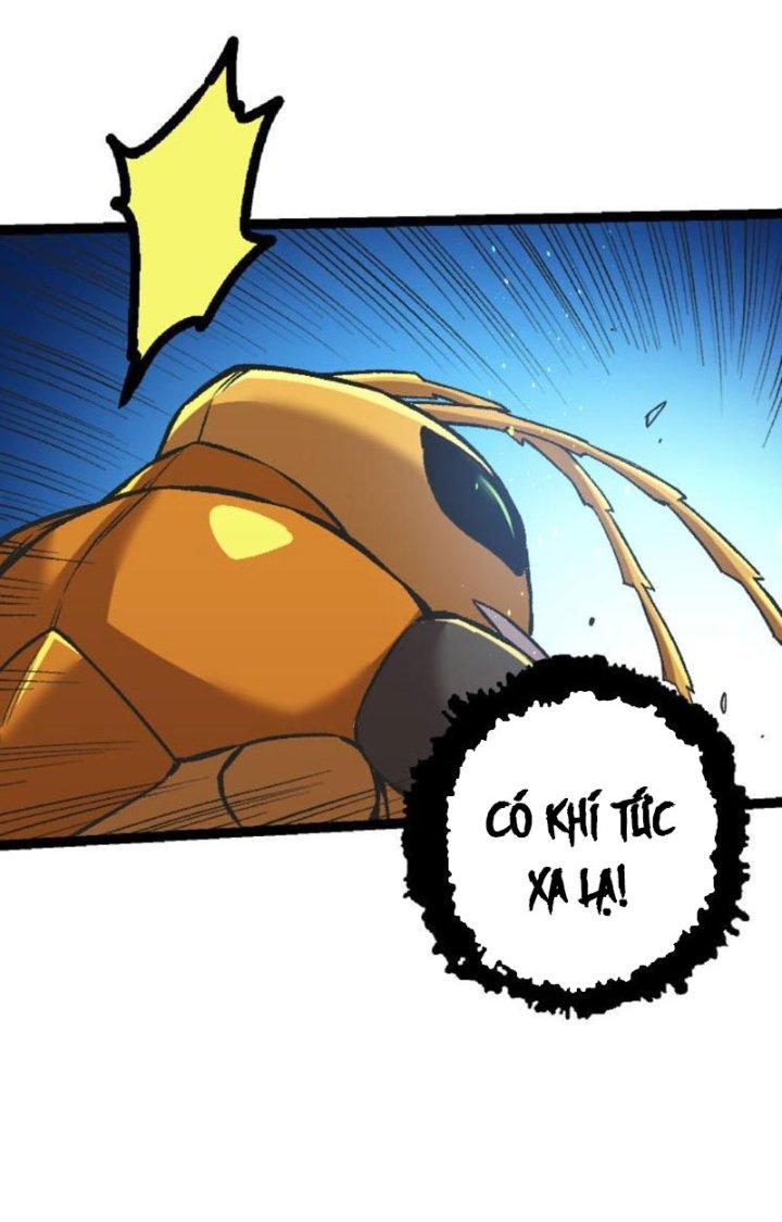 từ cây cổ thụ bắt đầu tiến hóa chapter 46 39