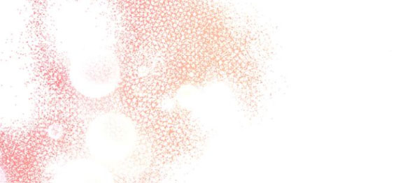 tôi tưởng bản thân không còn sống được bao lâu! chapter 50.3 4