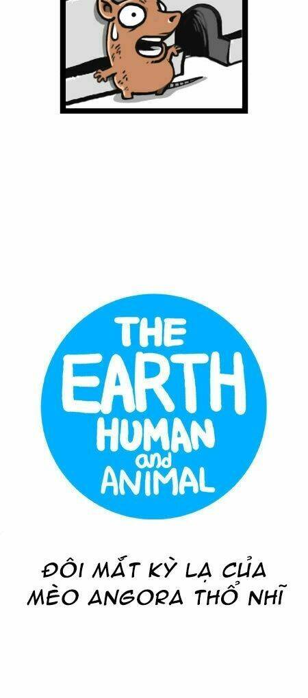 earth, human, and animal chapter 12 5