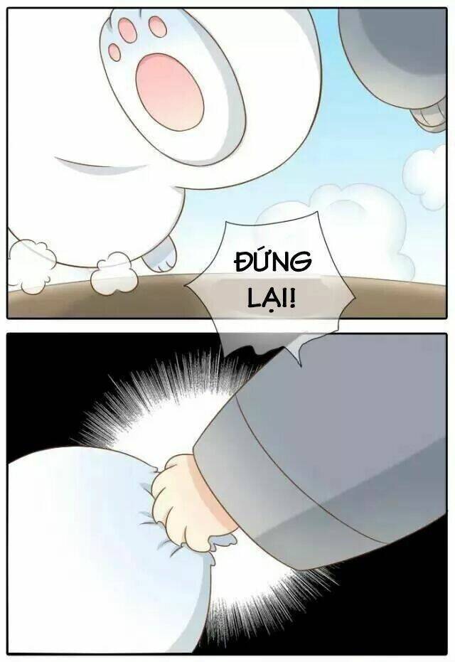 tiểu hồ ly vs tiểu hóa thượng chapter 31 12