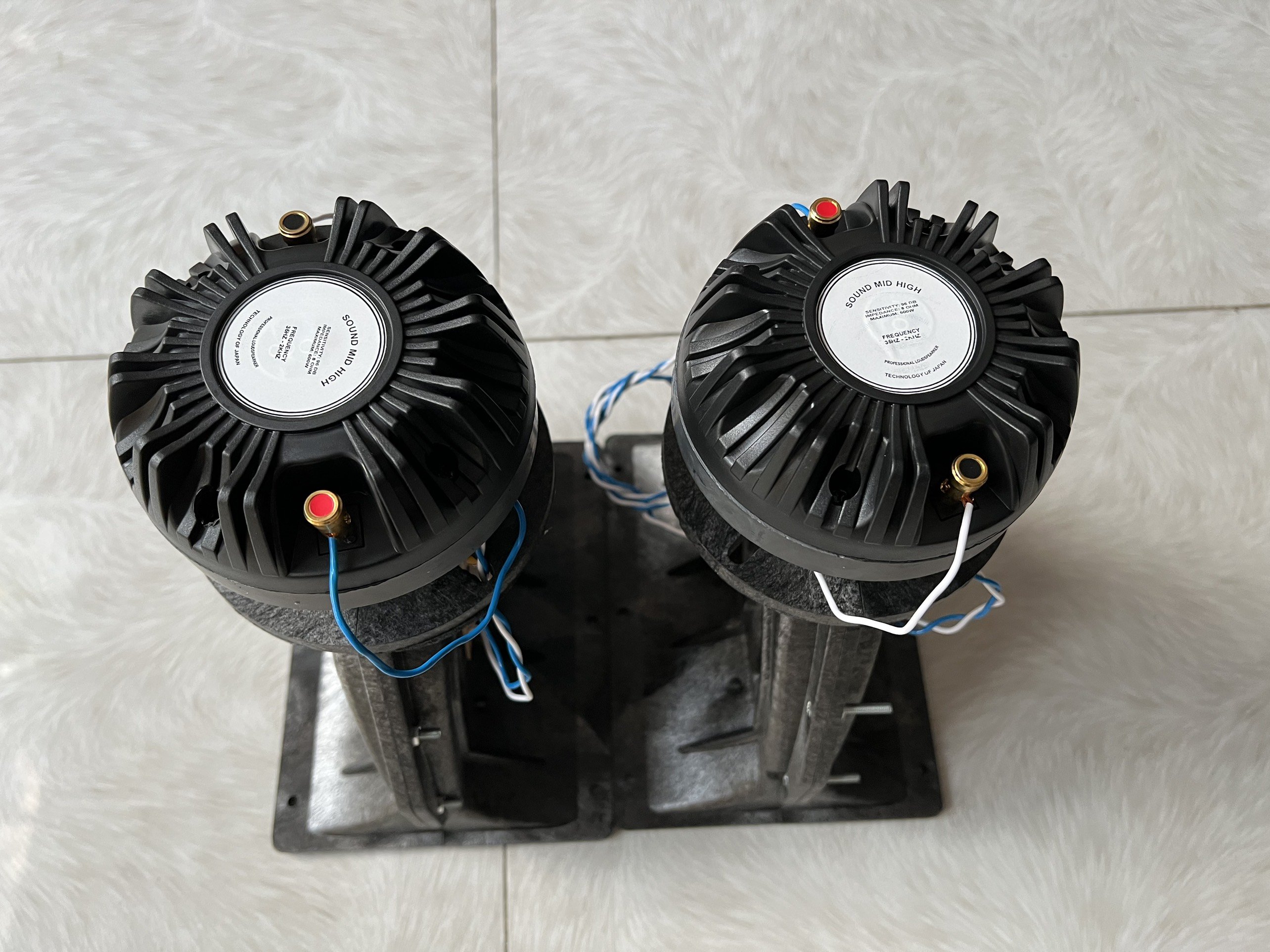 Chép Rời họng Aray củ chép 450 tiếng tí tách cực sáng và trong có phân tần Hải Triều