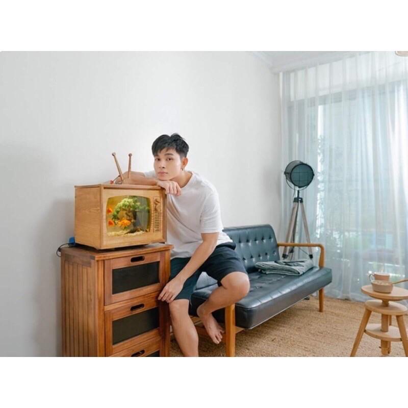 HỒ CÁ GỖ HÌNH TI VI