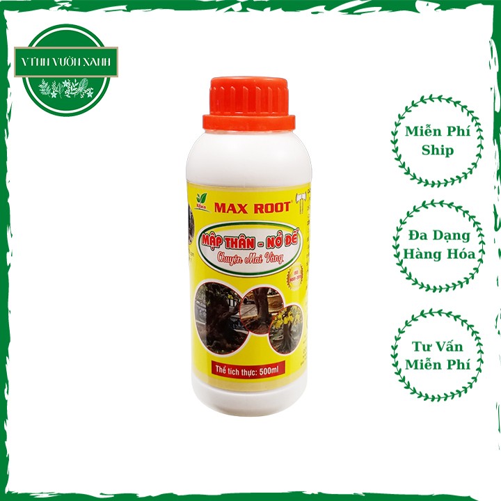 Phân bón max root giúp mập thân nở đế mai, bộ rễ phát triển, lá xanh dày cho cây mai vàng 500ml