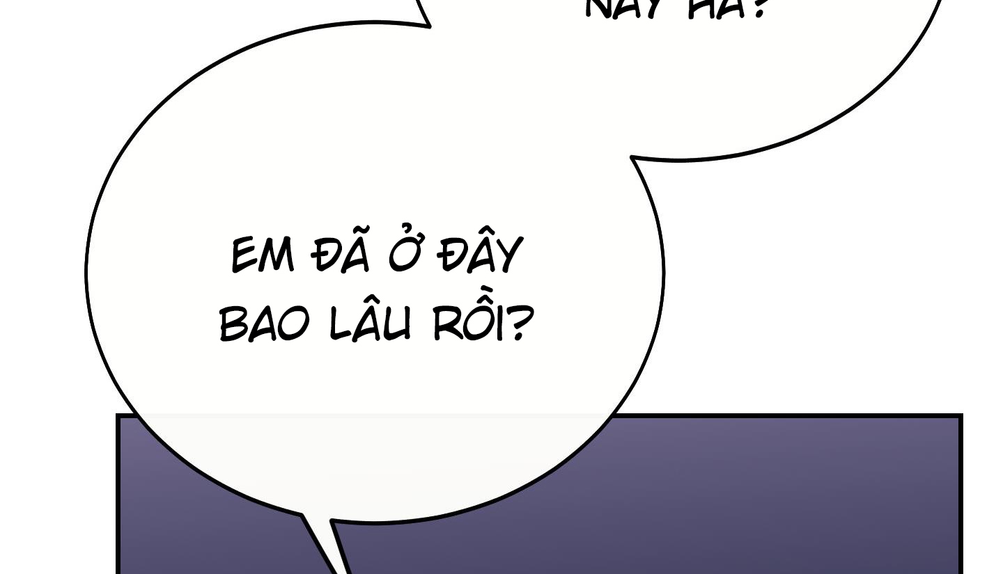 Lãng Mạn Giả Dối chapter 36