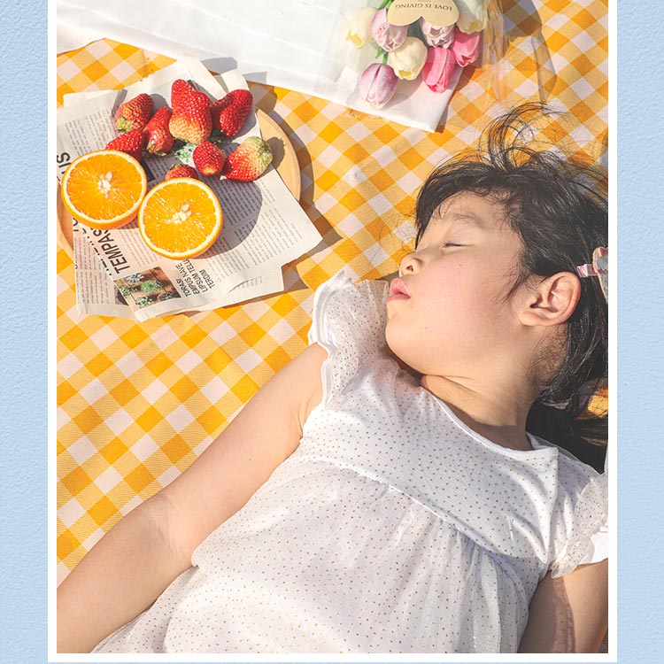 THẢM DÃ NGOẠI, DU LỊCH, PICNIC CAO CẤP - Chống thấm nước, họa tiết caro, gấp gọn tiện lợi - 2 kích thước khách chọn màu!