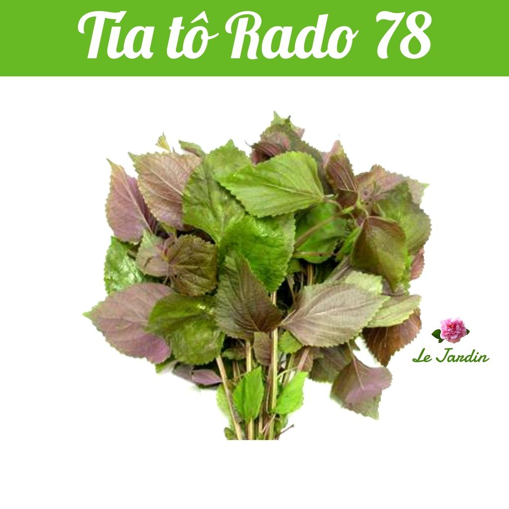 Hạt giống Tía tô Rado 78 gói 2,5gr - Dễ trồng