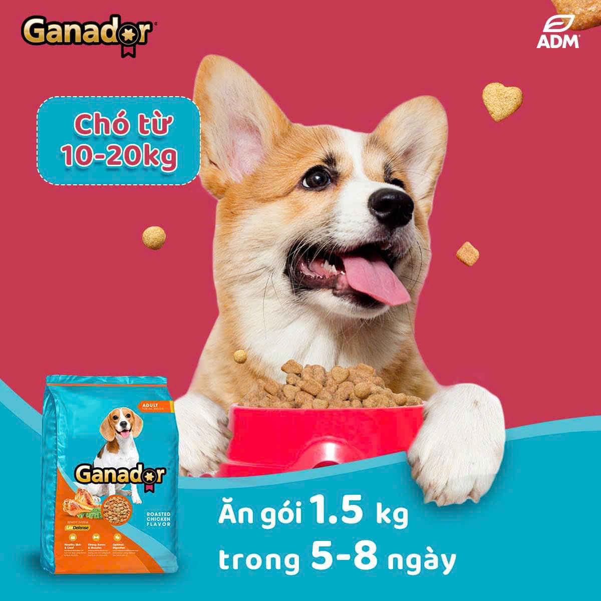 20KG Thức ăn cho chó trưởng thành Ganador Vị gà nướng - Ganador Adult Roasted Chicken Flavor - Thức ăn hạt cho chó