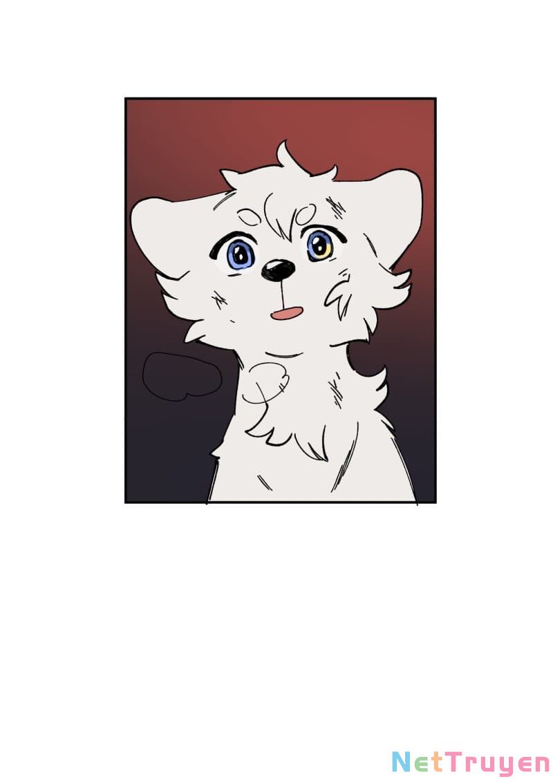 lumine - cội nguồn ánh sáng chapter 112 44