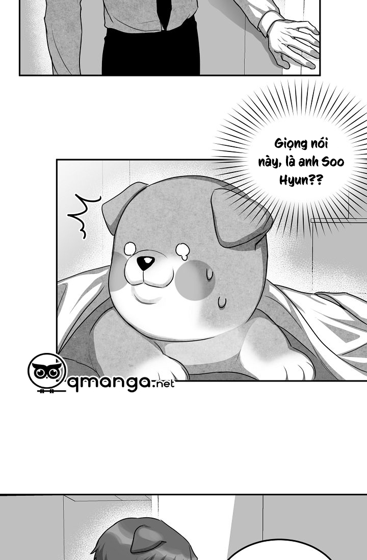 khi cún biết yêu chapter 12 27