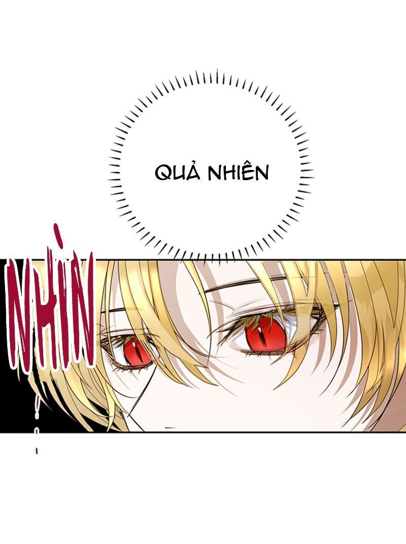 cách để cứu rỗi anh trai của nữ chính chapter 19 37