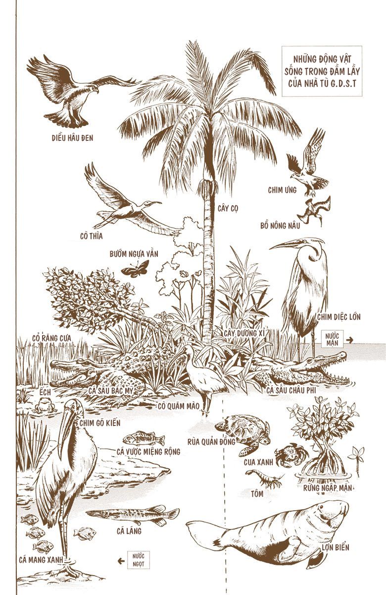 cuộc phiêu lưu bí ẩn chapter 678 21