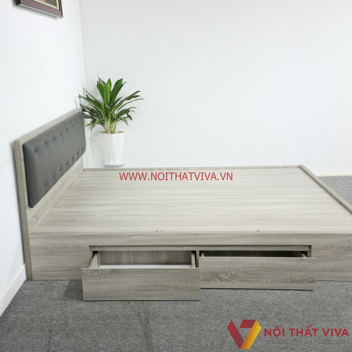 Giường Ngủ Gỗ MDF Melamine Màu Xám Vân Gỗ Có Hộc Kéo + Đầu Nệm Xanh Đen Đẹp Hiện Đại
