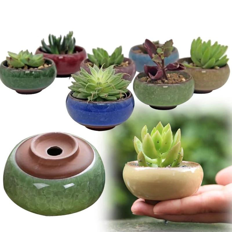 Chậu Trồng Cây Mini Trang Trí Bàn Làm Việc