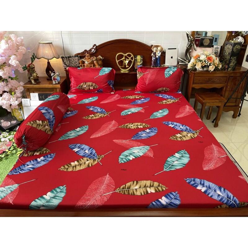 Drap thun Hàn quốc